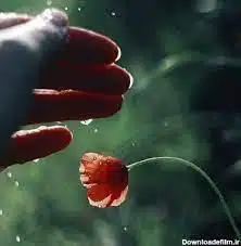 زندگی ، حس زندگی